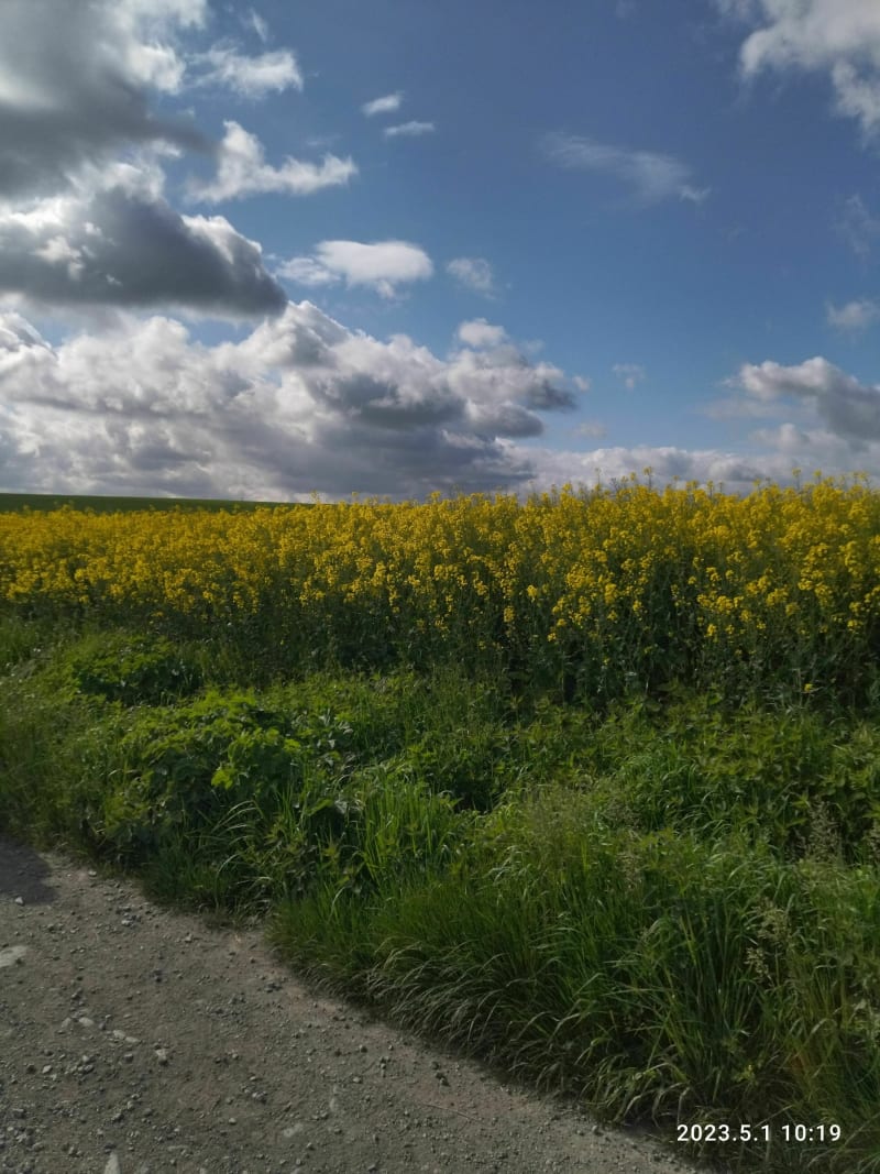Balade à Brissac - Brissac-Loire-Aubance