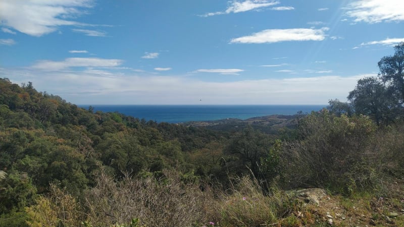 Rando en bas de la Massane - Argelès-sur-Mer