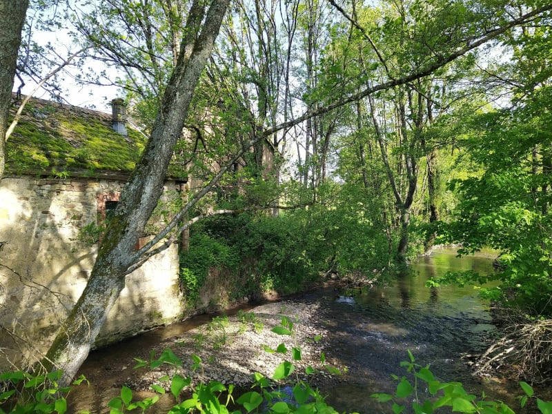 Le moulin de Larivière - Angeot