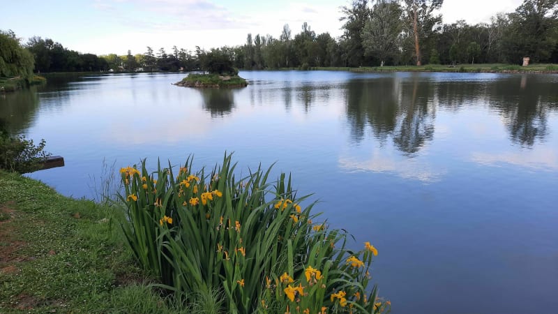 Lake Bellevue en meer - Lisle-sur-Tarn