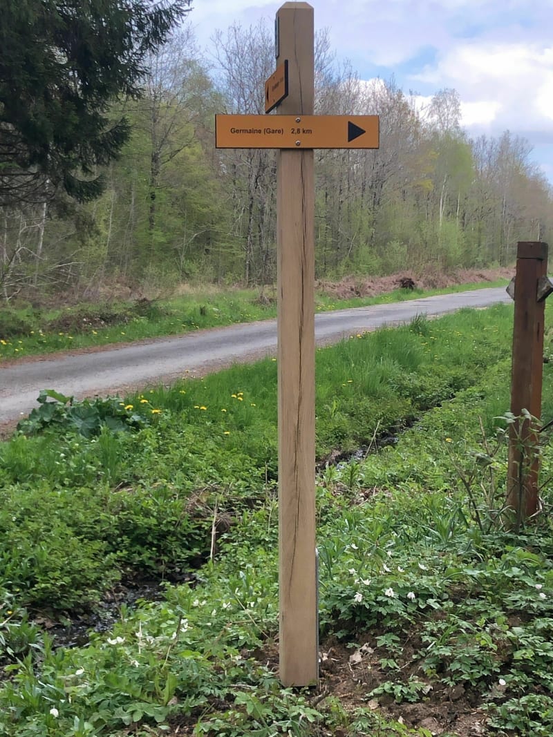 VTT en forêt à Montchenot - Villers-Allerand