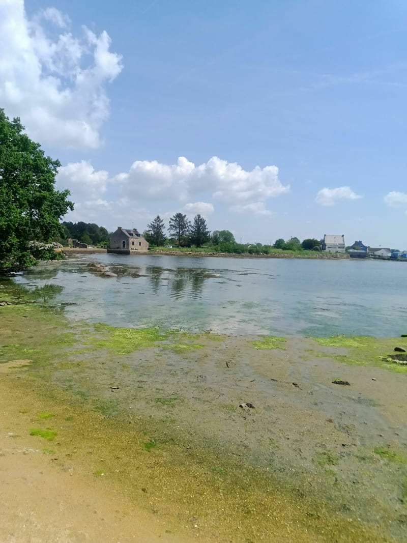 Entre terre et mer depuis la pointe de Kerantréh - Sainte-Hélène