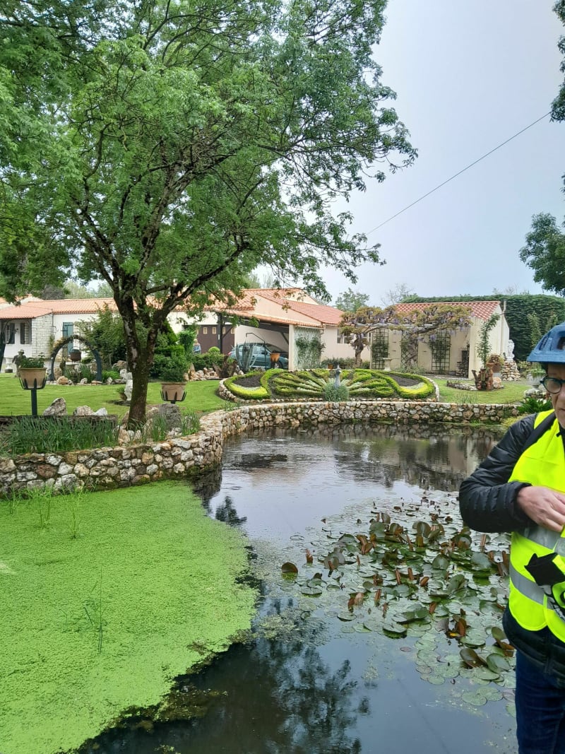 Bois de cène- ferme de la terriere - Challans