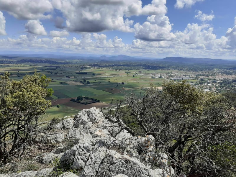 Balade sur les hauteurs de Saint Maximin la Sainte Baume - Saint-Maximin-la-Sainte-Baume