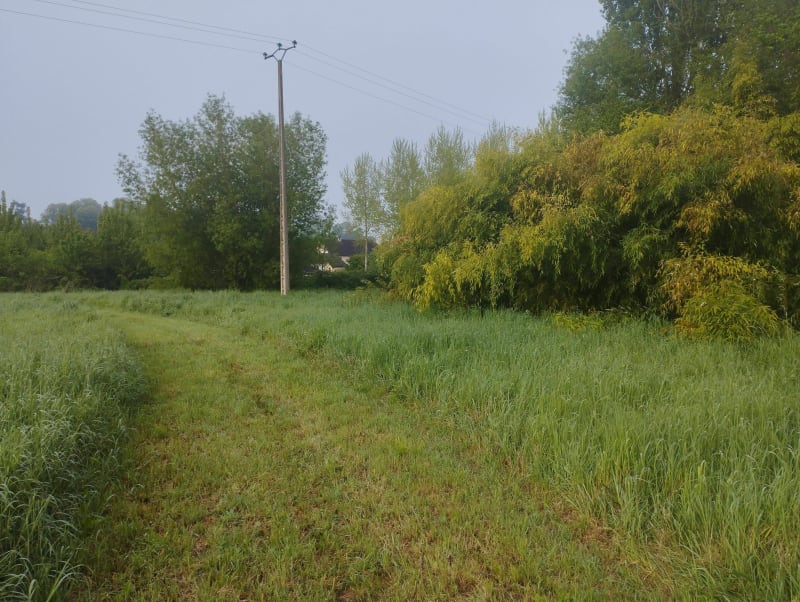 Mooie wandeling in Le Luart - Le Luart