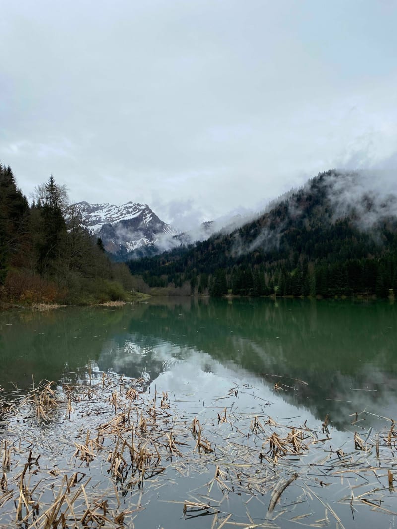 Tour du lac de Vallon en partant de Bellevaux - Bellevaux