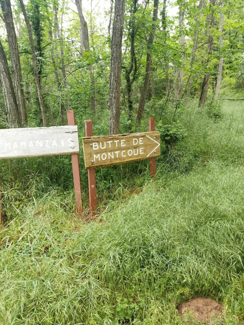Butte de Montcoue - Plaine-et-Vallées