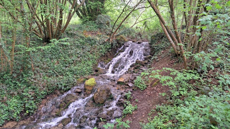 Marche à Saulny - Saulny