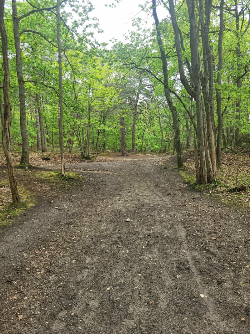 La Butte à Faucheux par le Bois de Baville - Saint-Yon