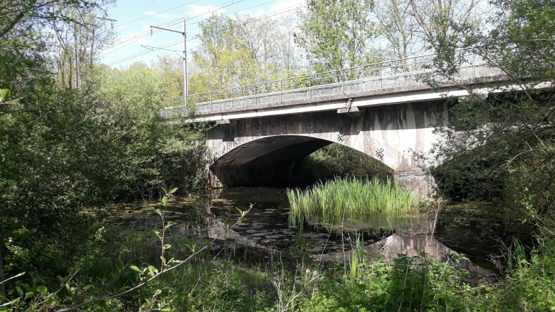 Balade entre canal et étangs à Amilly - Amilly