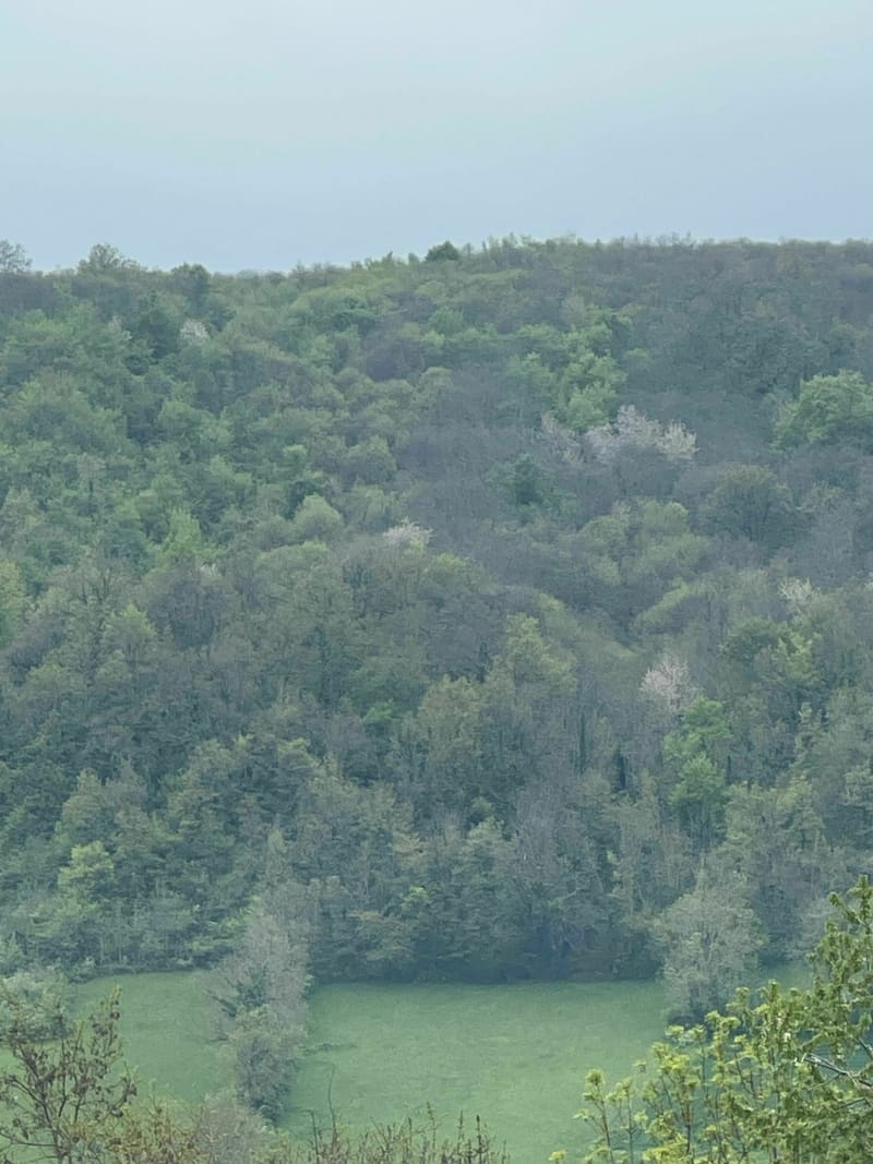 Balade vallonnée entre Châbons et Burcin - Châbons