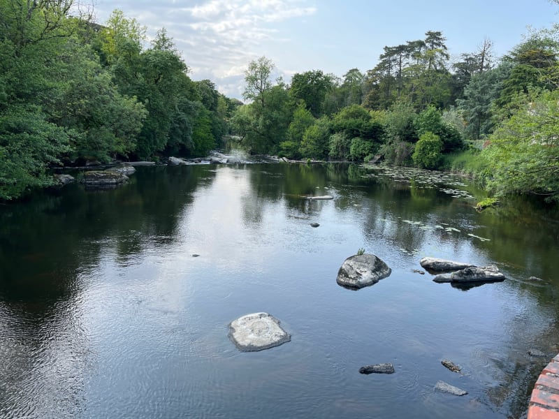 Petite balade entre Sèvre et Moine par le Coussais - Clisson