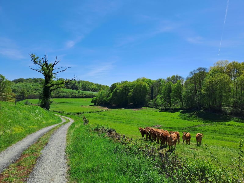 La Creuse au cœur au départ du Grand-Bourg - Le Grand-Bourg