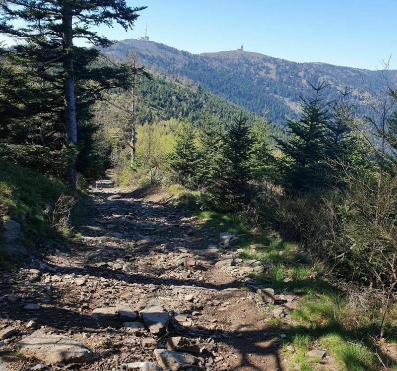 Boucle Doizieux vers Col de l'Oeillon - Doizieux