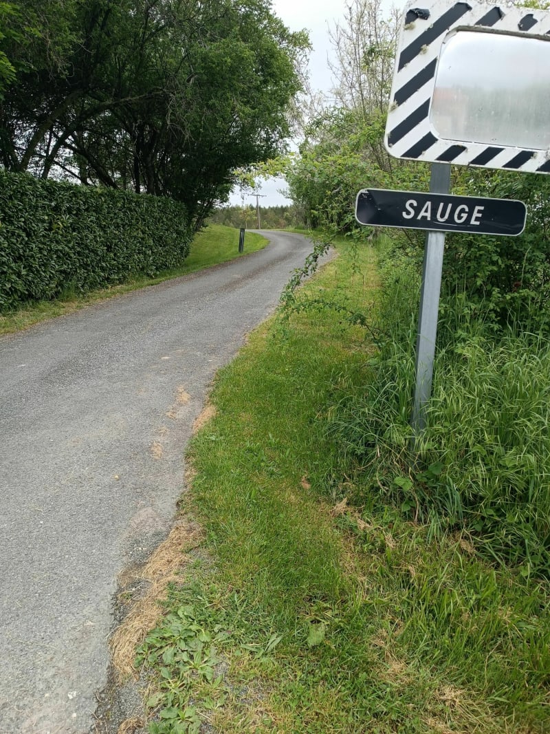 La sauge - Saint-Pierre-de-Chignac
