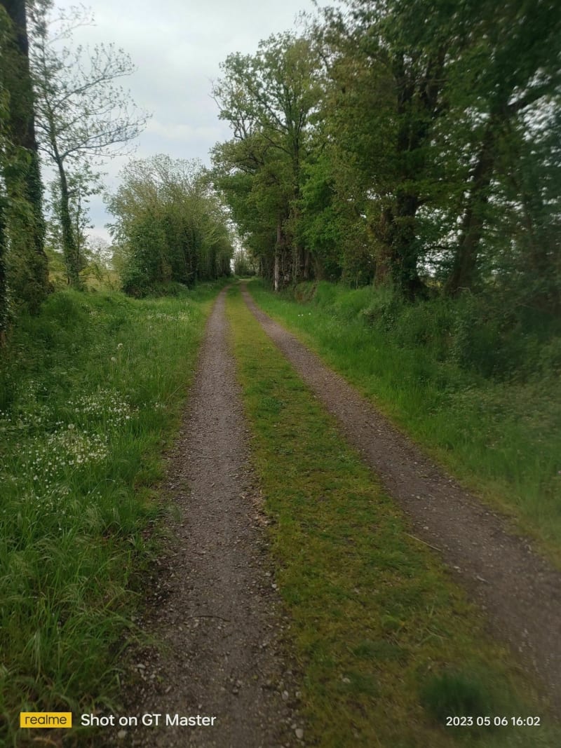 Balade à la découverte de la Voie Verte à Mayenne - Mayenne