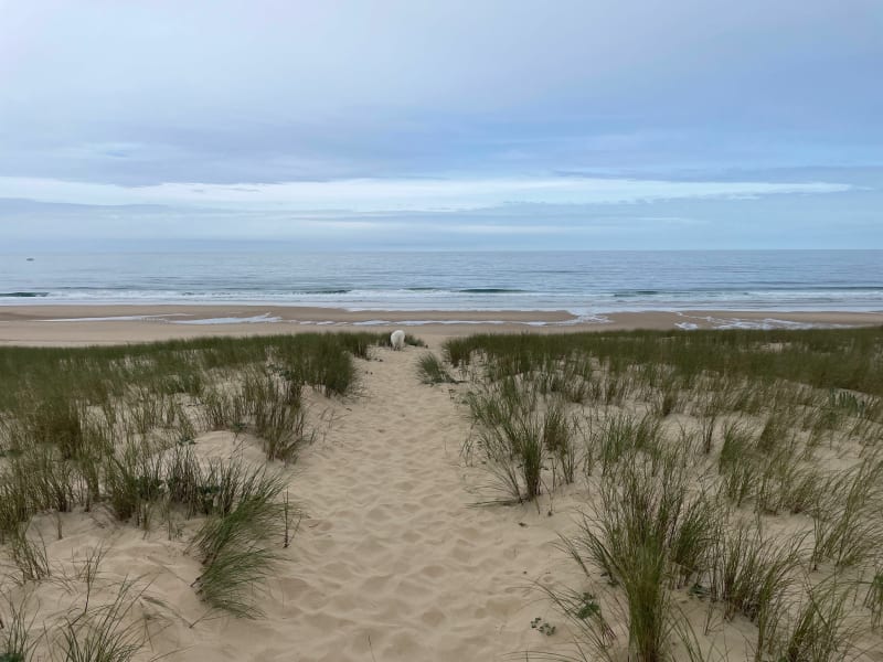 Balade entre forêt et océan au Petit Piquey - Lège-Cap-Ferret