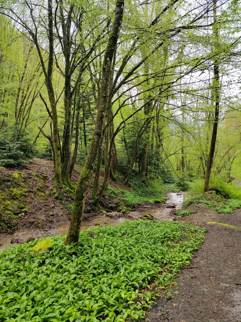 Petite boucle au-dessus de Mont-Saint-Martin - Mont-Saint-Martin