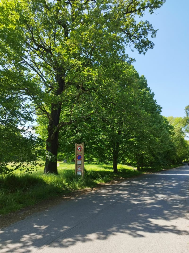 Balade tranquille en forêt de Clamart par les fonds de la Chapelle - Clamart