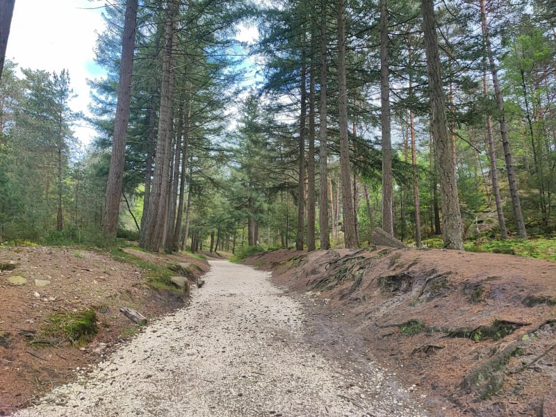 Promenade des Gorges de Franchard - Fontainebleau