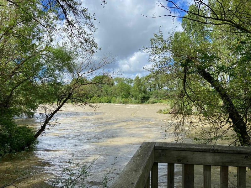 Réserve naturelle de la Confluence à Portet-sur-Garonne - Portet-sur-Garonne