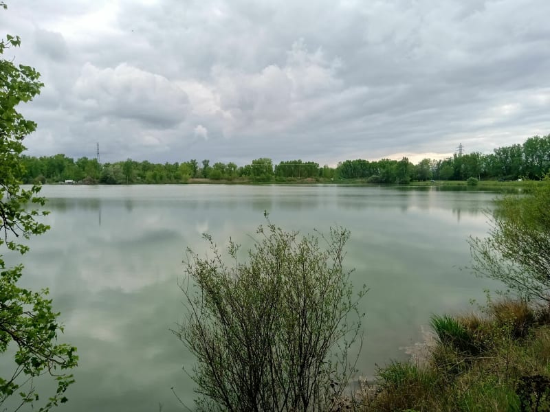 Balade autour du plan d'eau des Couleyras - Joze