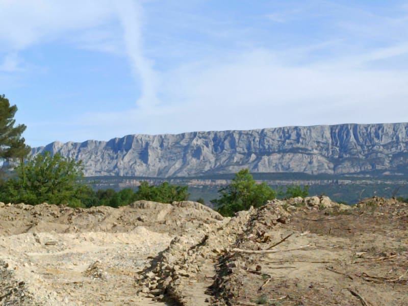Balade en Forêt de Peynier - Peynier