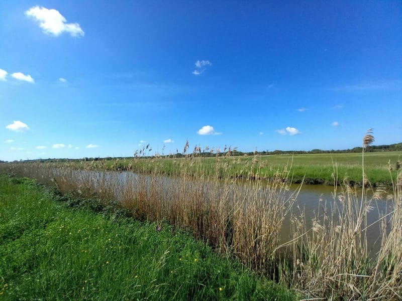 Sentier des Gruettes - Notre-Dame-de-Riez