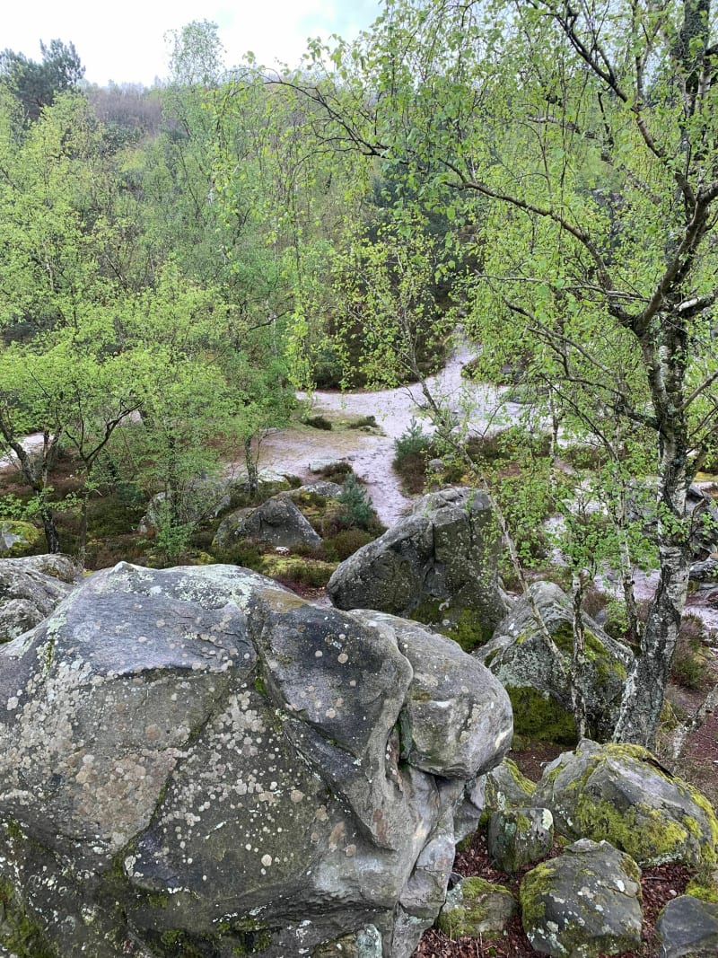 Balade en forêt de Retz et du bois de Tillets au départ - Vaumoise