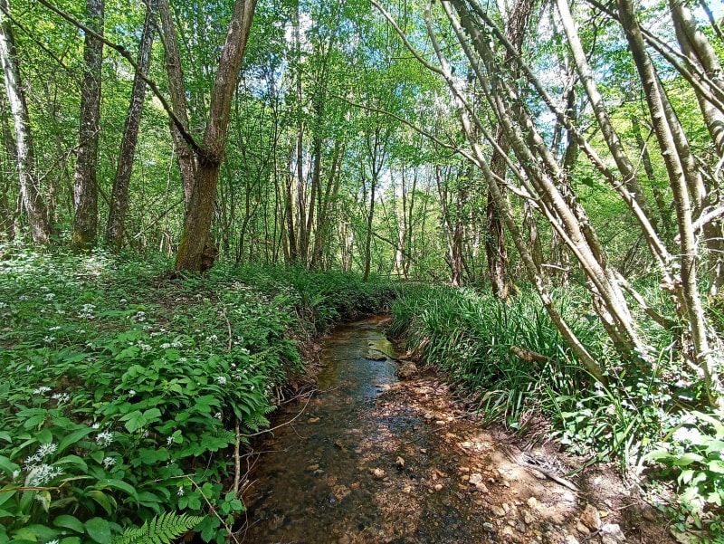 Belle rando le long du ruisseau à Rivarennes - Rivarennes