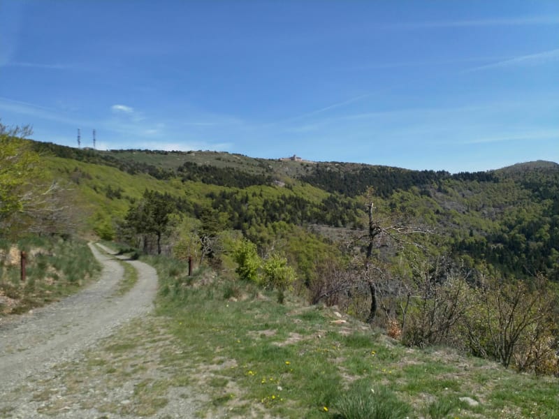 Randonnée au Mont Aigoual - Val-d'Aigoual