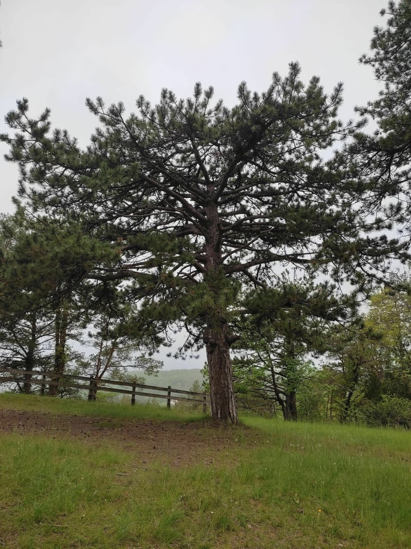 Belle balade sur la butte à cauchon - Ézy-sur-Eure