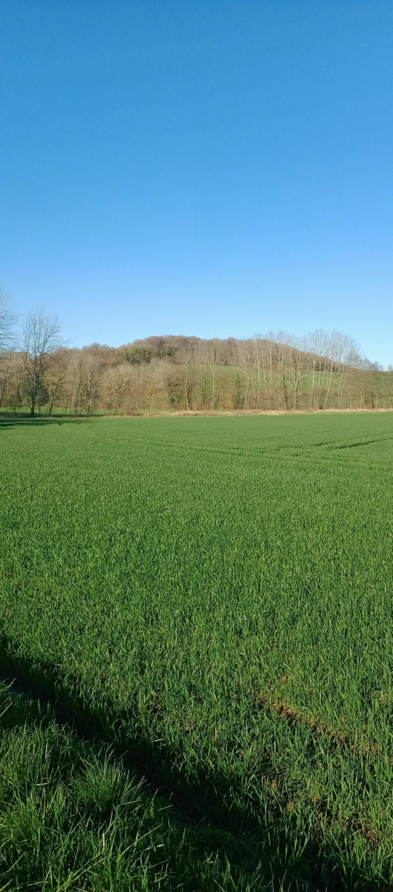 Belle balade entre Soissons Mercin-et-Vaux est Pernant - Soissons
