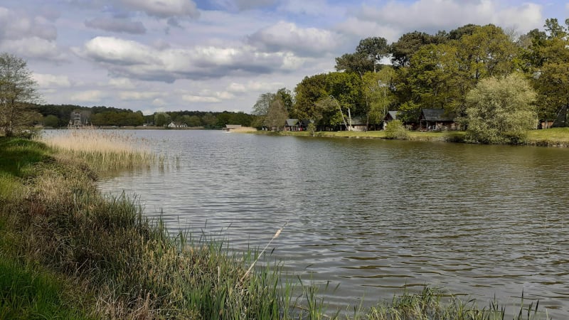 Rillé entre forêt et lac - Rillé