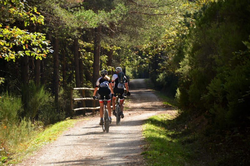 Le tour de Vésinet - Argenteuil
