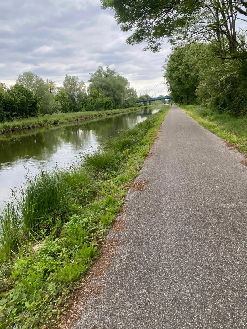 Promenade le long du canal Allan Brognard au départ de Montbéliard - Montbéliard
