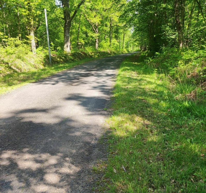 Balade entre Dompierre sur Besbre et Saligny sur Roudon - Dompierre-sur-Besbre