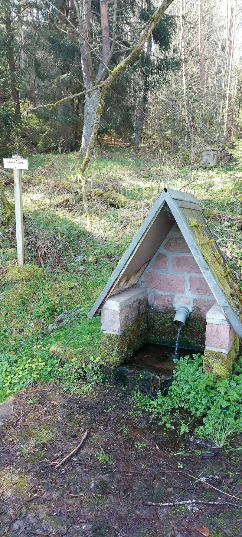 Circuit des sources des Vosges - Orbey