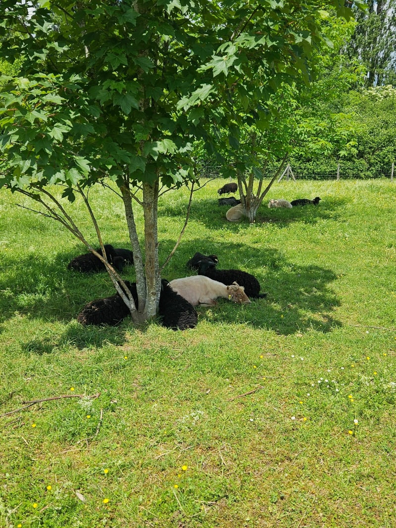 Au fil de l'eau et de la nature à Bergerac - Bergerac