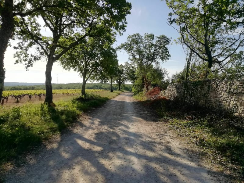 Randonnée depuis Le Rieu vers Combe Soulouze - Barjac