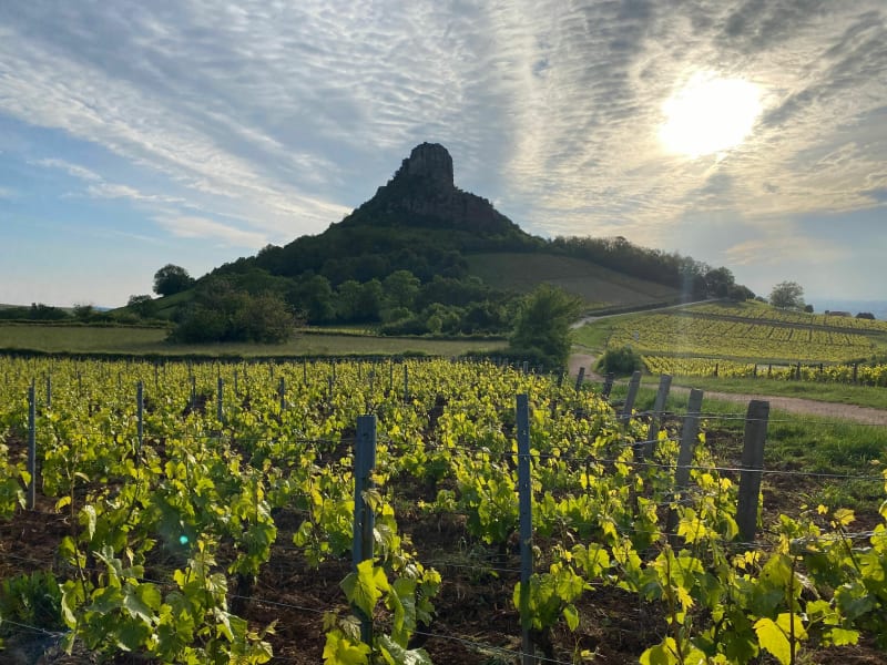 Solutré vergisson et mont pouilly - Solutré-Pouilly