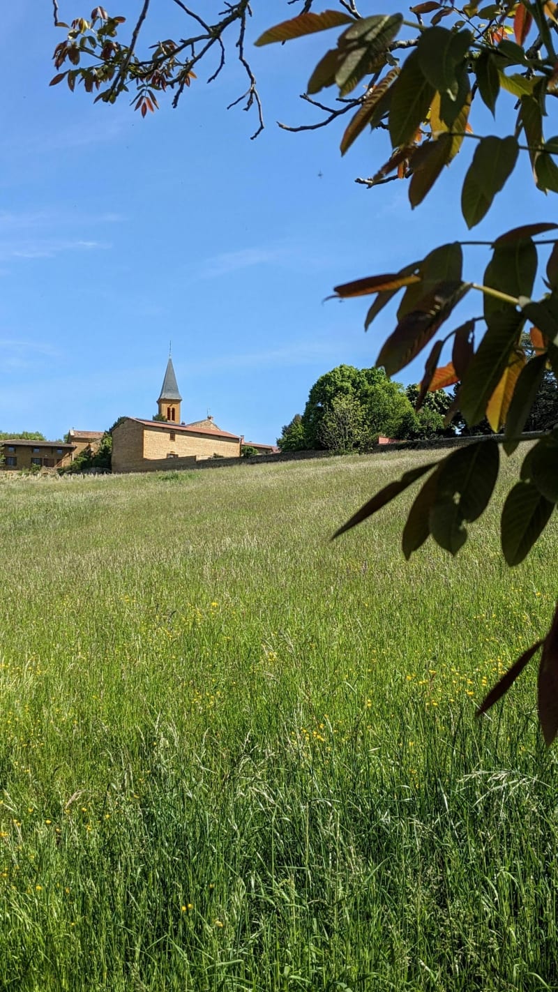 Boucle sur Frontenas, Oingt, Theizé - Frontenas