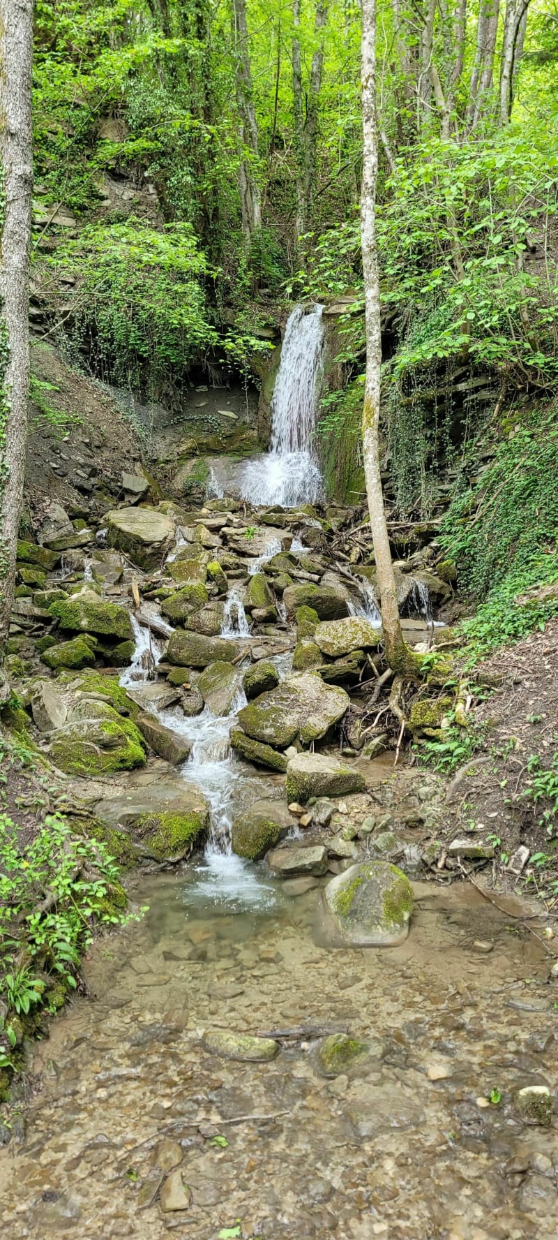 Petite balade à Lucinges depuis Bonne - Bonne