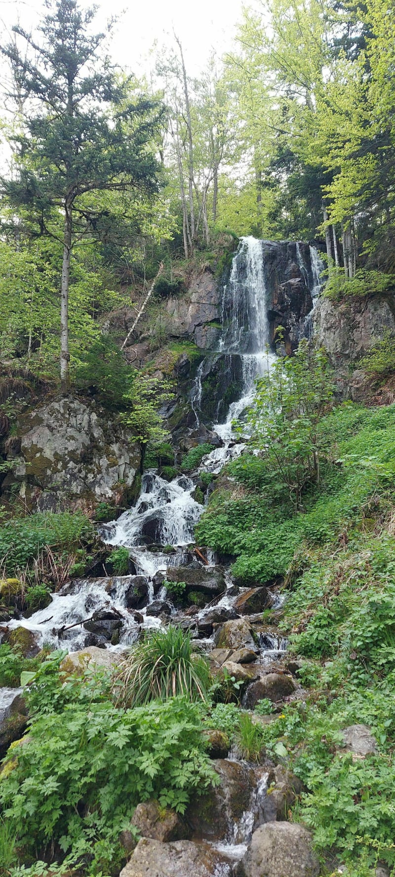 La cascade du Hohwald par le Col du Kreuzweg - Le Hohwald