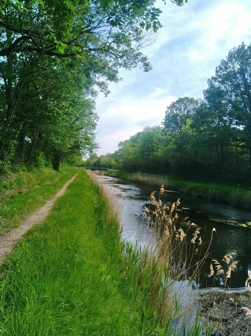 Découverte de Châtenoy, entre les champs et le canal - Châtenoy