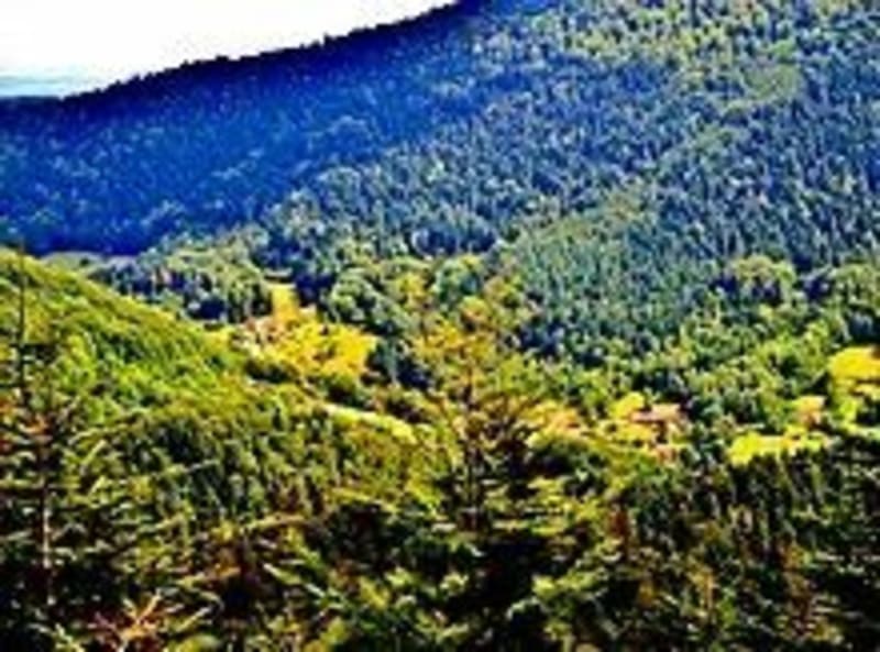 VTT à Rougegoutte, par la Roche Brusson - Rougegoutte