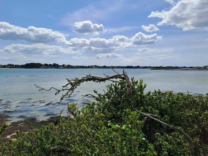 Le petit tour de la Ria vers Saint-Guillaume - Plouhinec