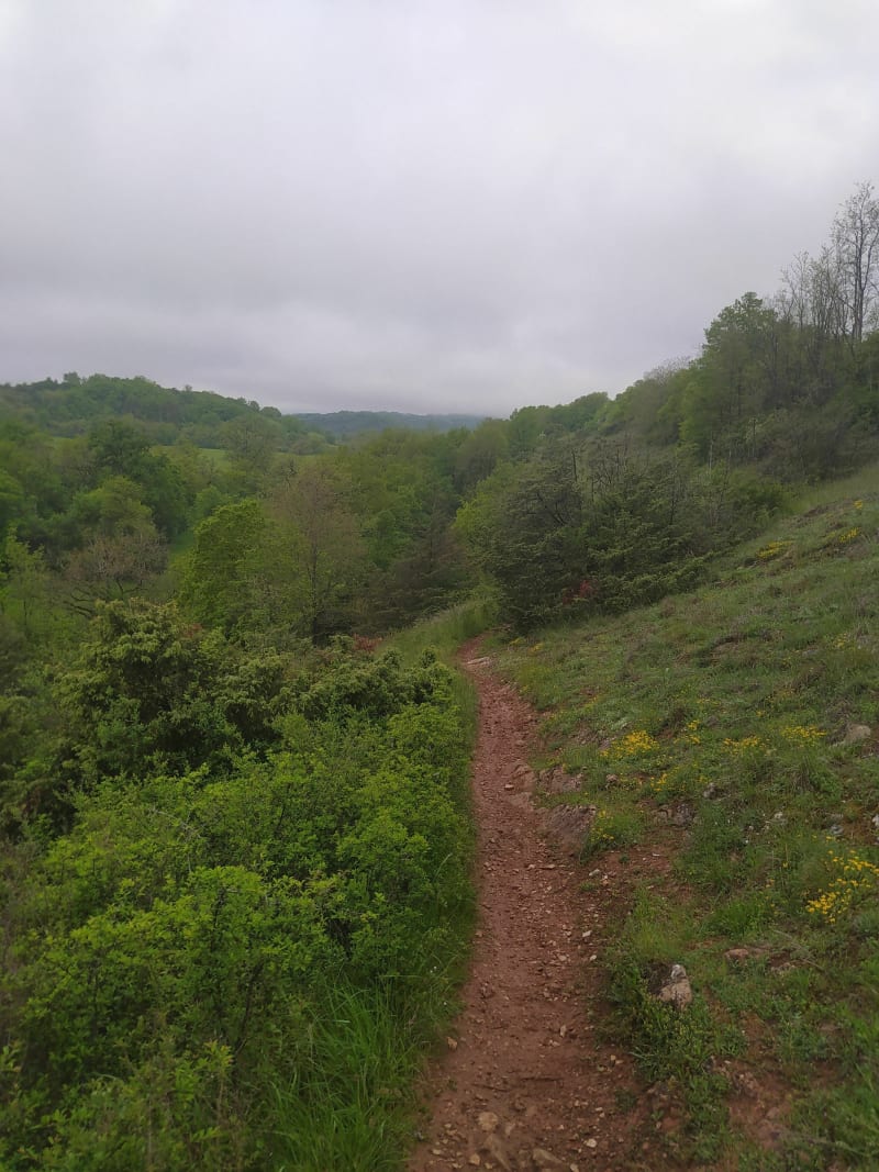 Circuit VTT au départ d'Onet-le-Château - Onet-le-Château