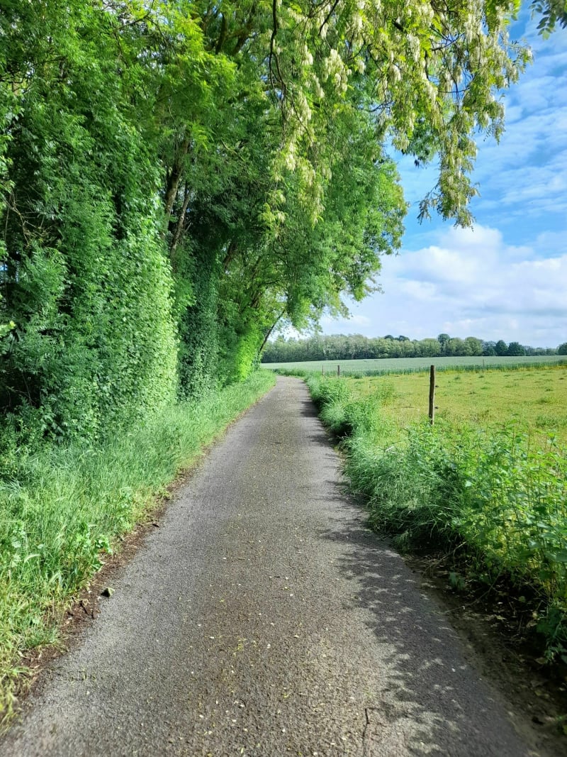 Guéreins - Genouilleux - Guéreins