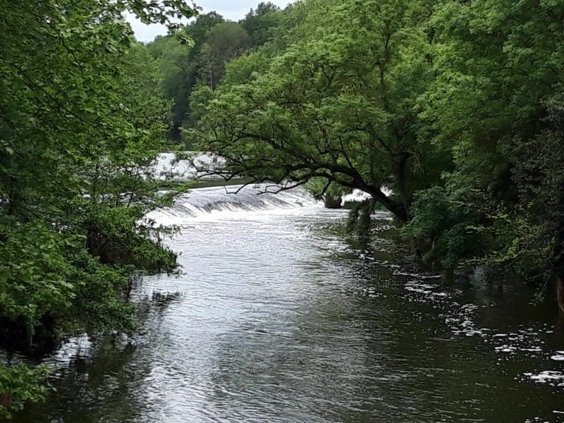 Au fil du Thouet depuis Sainte-Verge - Sainte-Verge